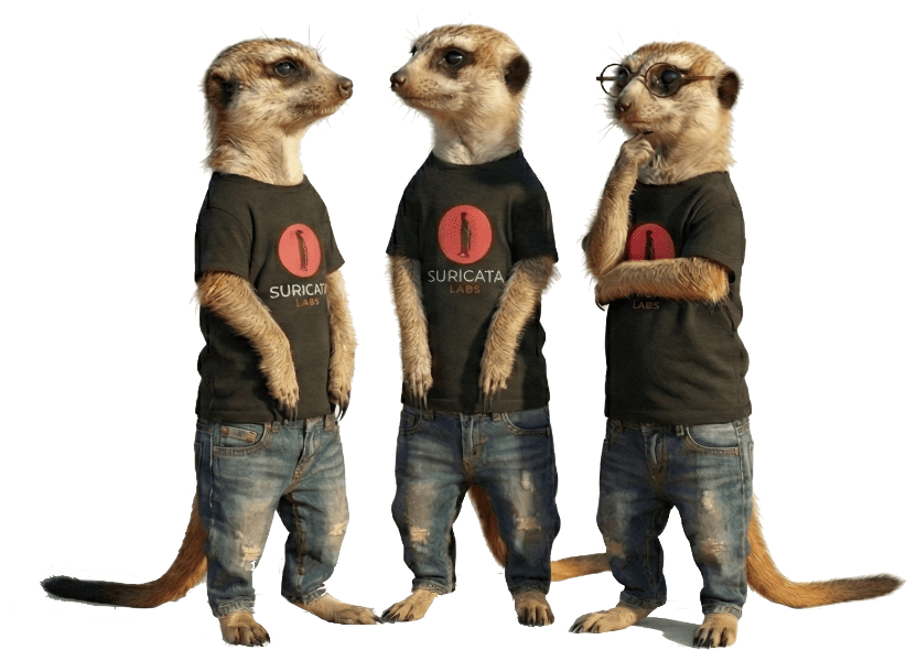 Suricata Labs Team